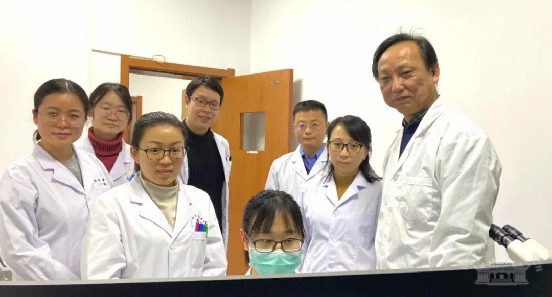 Wuhan University Scholars solve one of Alzheimer’s disease’s big mysteries